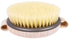 EcoTools Dry Brush