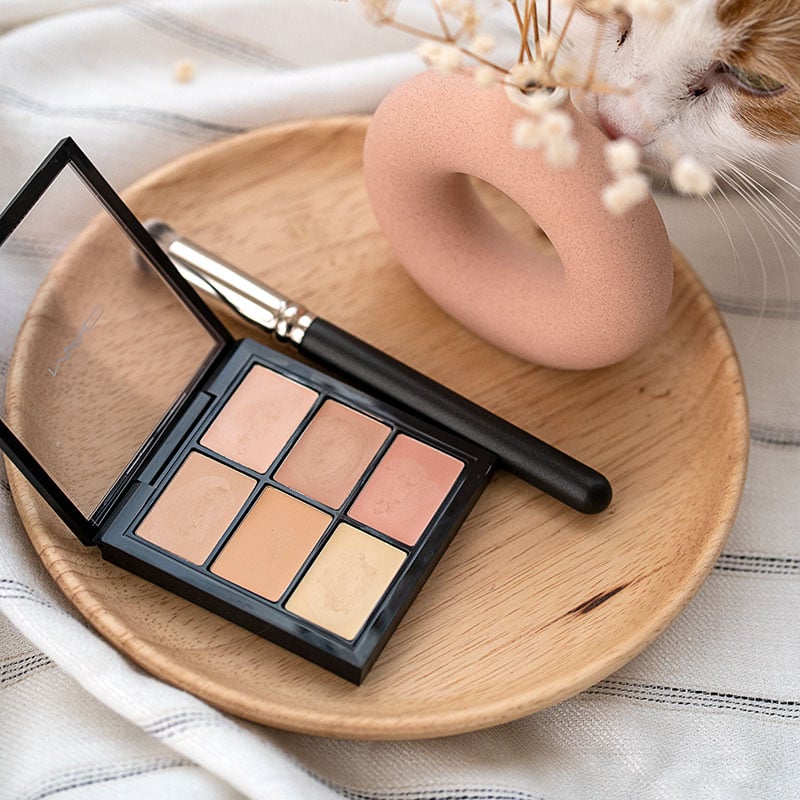 best concealer for dark circles: MAC Studio Fix Conceal and Correct Palette